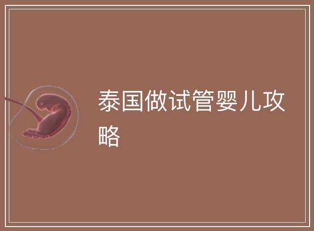 泰國做試管嬰兒攻略