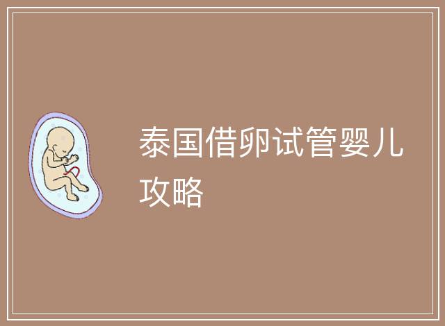泰國(guó)借卵試管嬰兒攻略