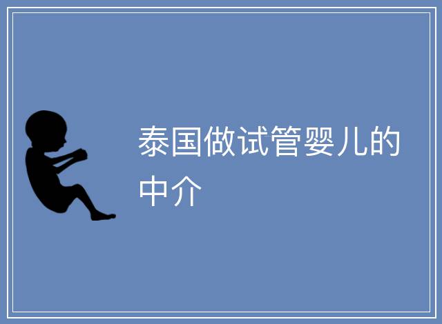 泰國做試管嬰兒的中介