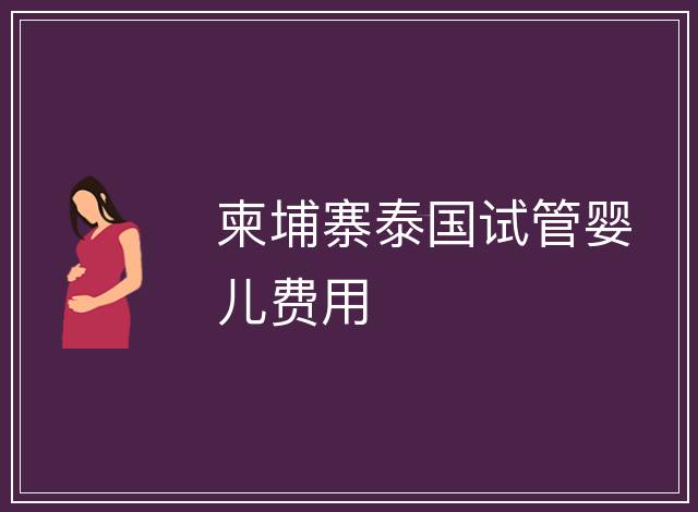 柬埔寨泰國試管嬰兒費用