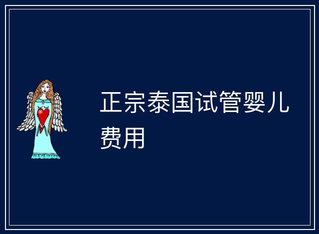 正宗泰國試管嬰兒費(fèi)用