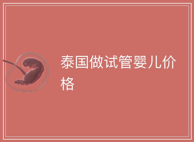 泰國做試管嬰兒價格