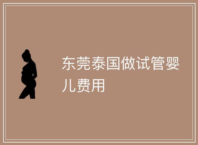東莞泰國做試管嬰兒費用