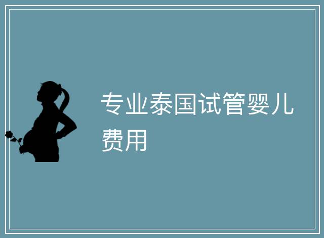 專業(yè)泰國試管嬰兒費用