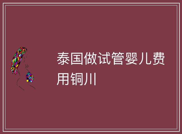 泰國做試管嬰兒費用銅川