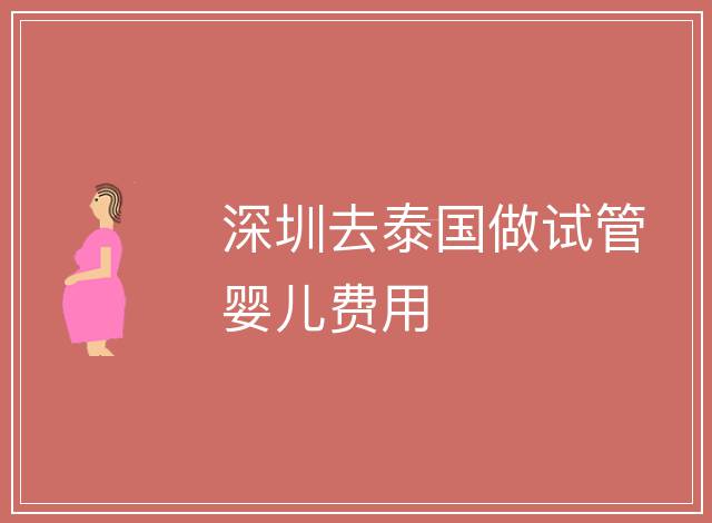 深圳去泰國做試管嬰兒費用