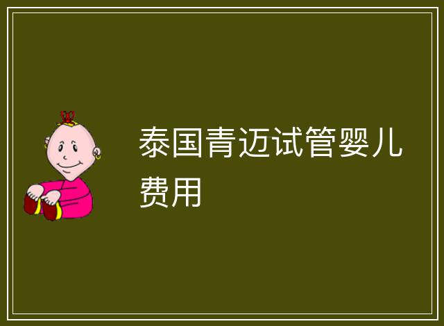泰國青邁試管嬰兒費用