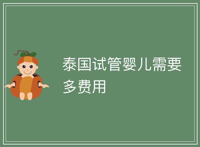 泰國試管嬰兒需要多費用