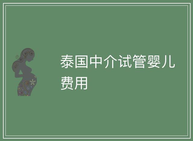 泰國中介試管嬰兒費用