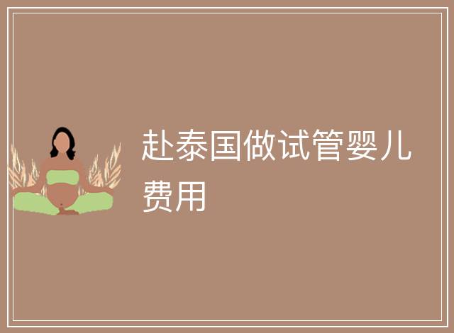 赴泰國做試管嬰兒費用