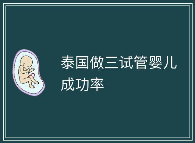 泰國做三試管嬰兒成功率