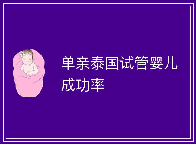 單親泰國試管嬰兒成功率