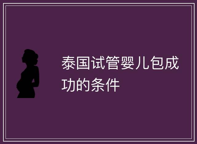 泰國試管嬰兒包成功的條件