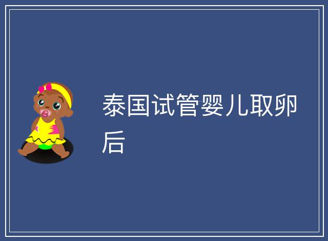 泰國試管嬰兒取卵后