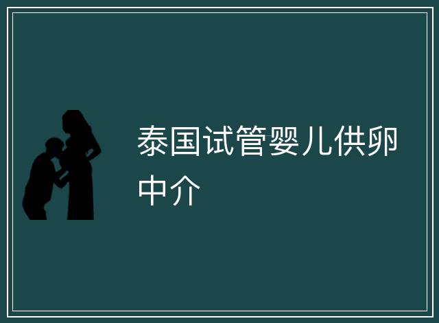 泰國試管嬰兒供卵中介