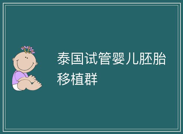 泰國試管嬰兒胚胎移植群