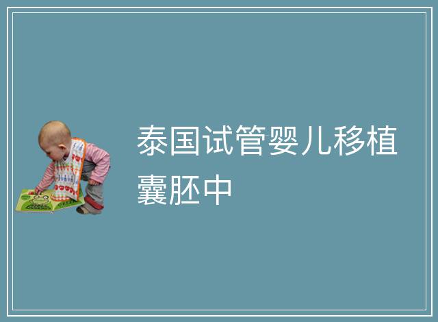 泰國試管嬰兒移植囊胚中