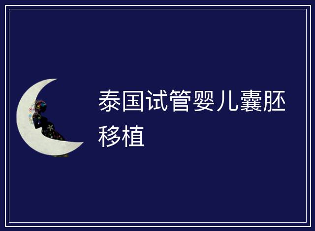 泰國試管嬰兒囊胚移植