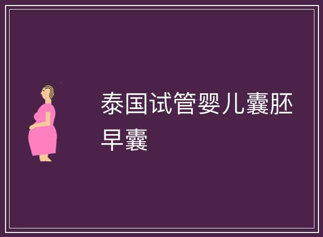 泰國試管嬰兒囊胚早囊