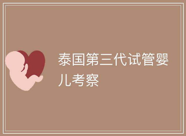 泰國第三代試管嬰兒考察