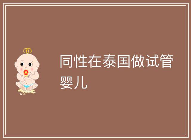 同性在泰國做試管嬰兒