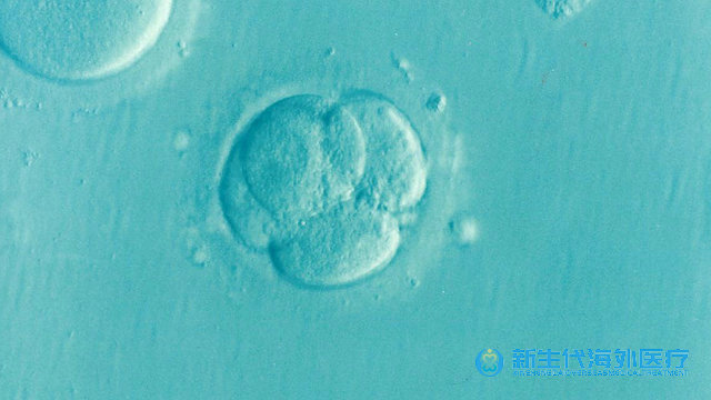 泰國皮肌炎試管嬰兒檢查內容