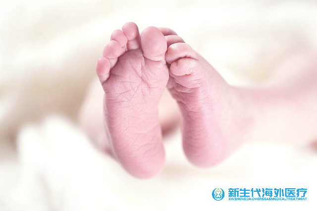 泰國不育試管申請手續(xù)